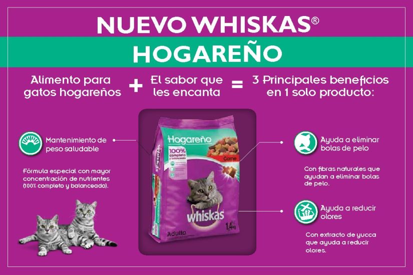 ONE-PAGER-HOGAREÑO-pdf