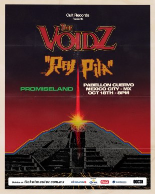 ARTE_THE_VOIDZ_REY_PILA.jpg